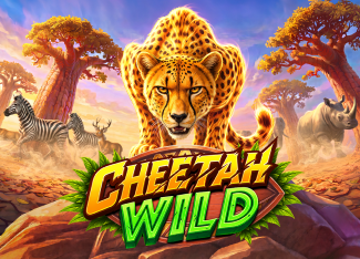 Cheetah Wild - CAMPSLOT138